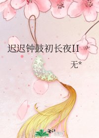 迟迟钟鼓初长夜II